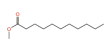 Methyl undecanoate